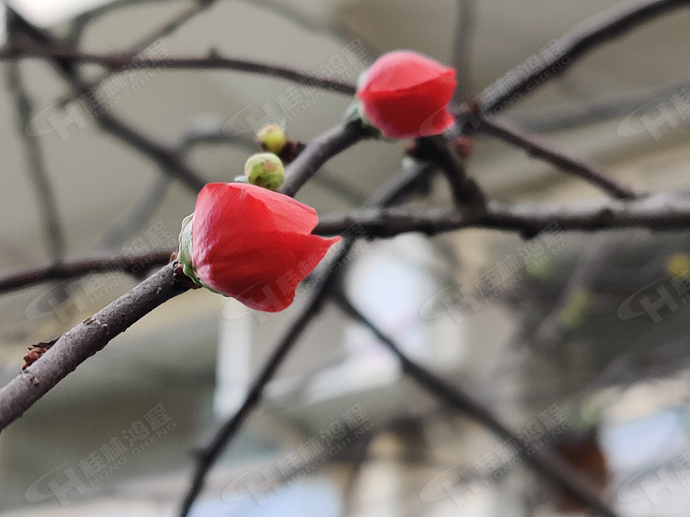 bob官方体育
花团锦簇，满园春色，邀您一起共赏春景，共商大计！