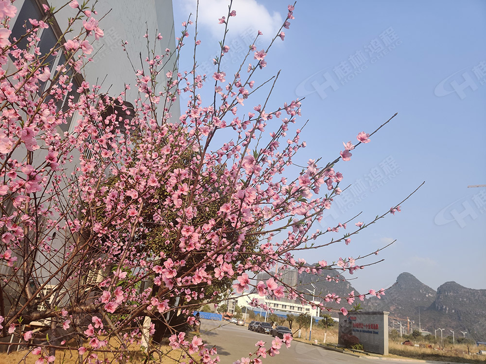 bob官方体育
花团锦簇，满园春色，邀您一起共赏春景，共商大计！